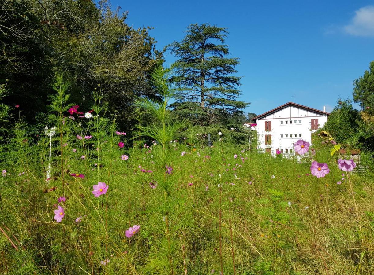 Hotel Pyrenees Atlantique Saint-Pée-sur-Nivelle Εξωτερικό φωτογραφία